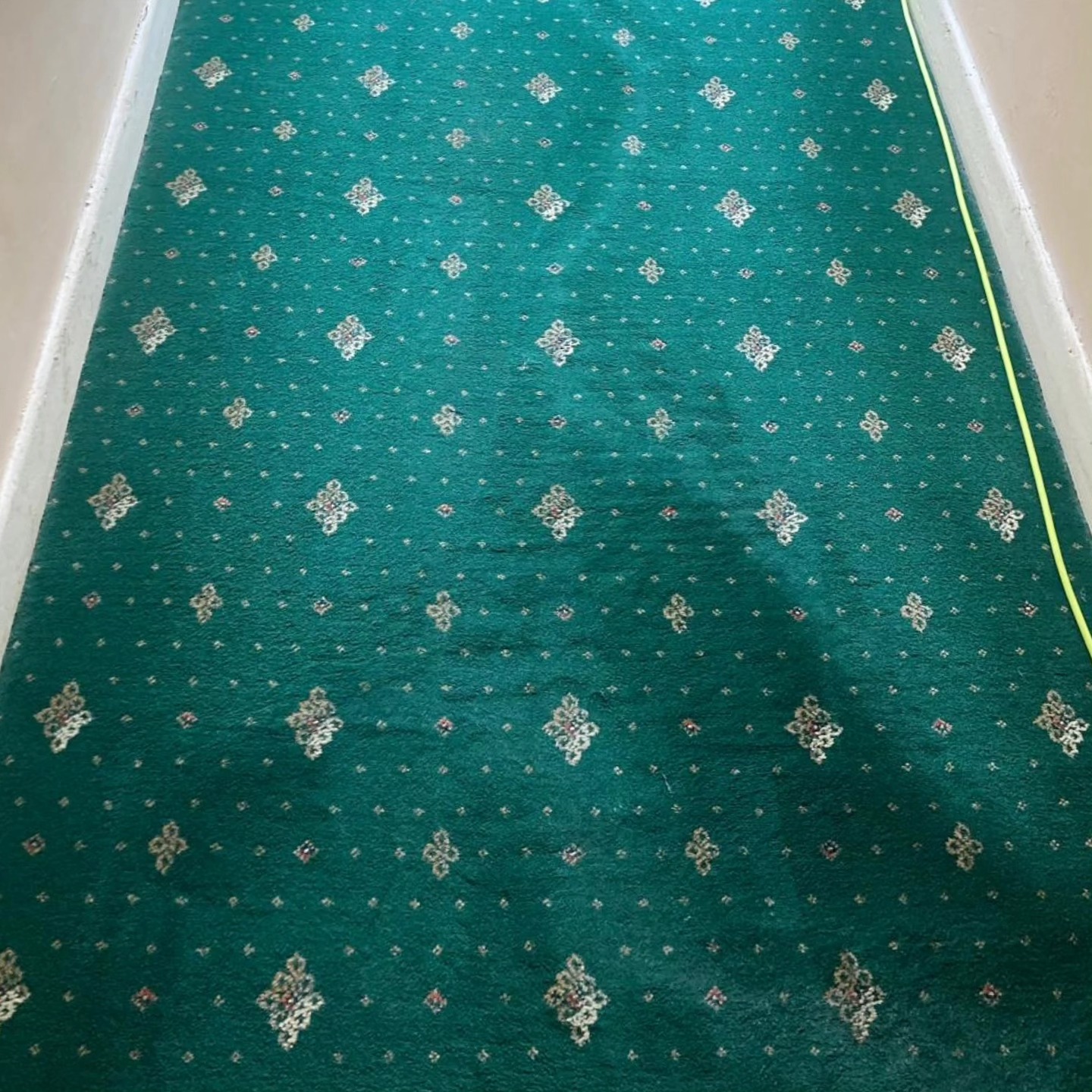 Carpet after cleaning