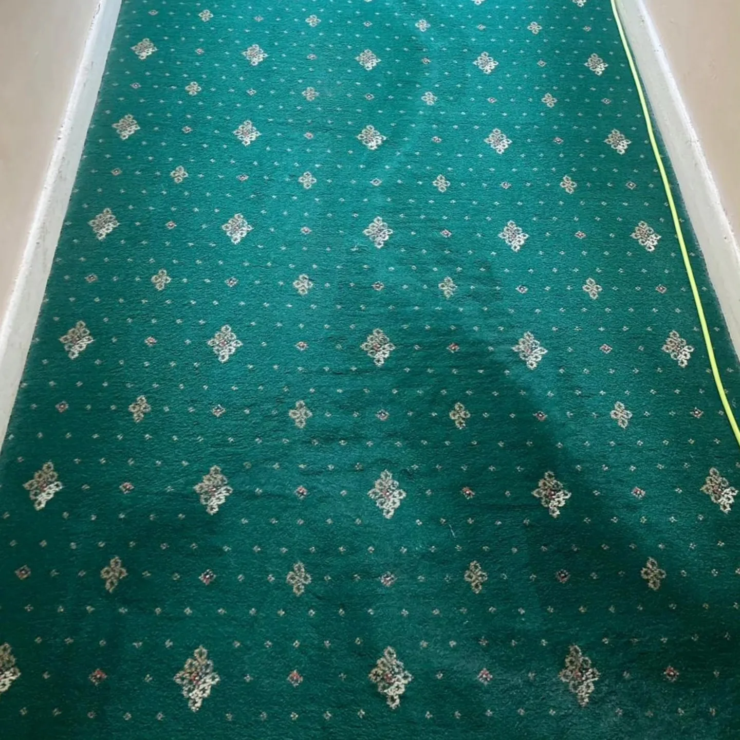 Carpet after cleaning