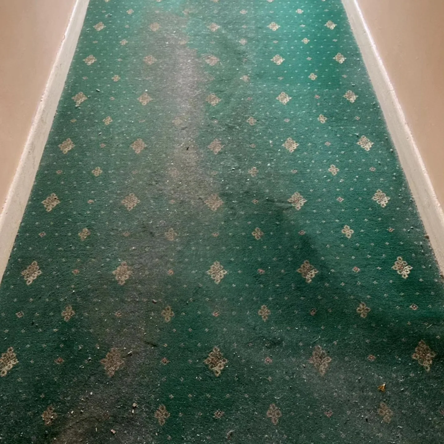 Carpet before cleaning