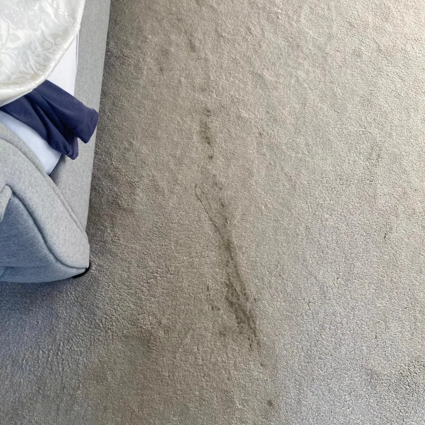 Stained bedroom carpet before professional steam cleaning