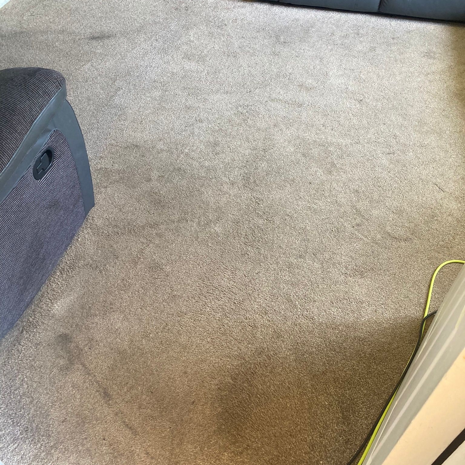 Carpet before cleaning