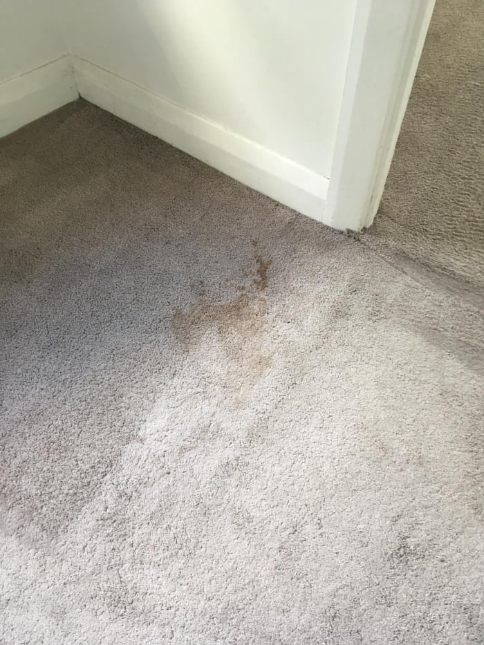 Before and after carpet cleaning results