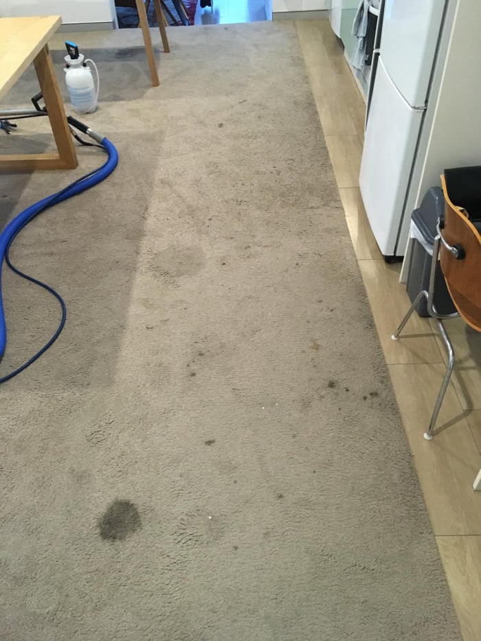 Commercial carpet cleaning before