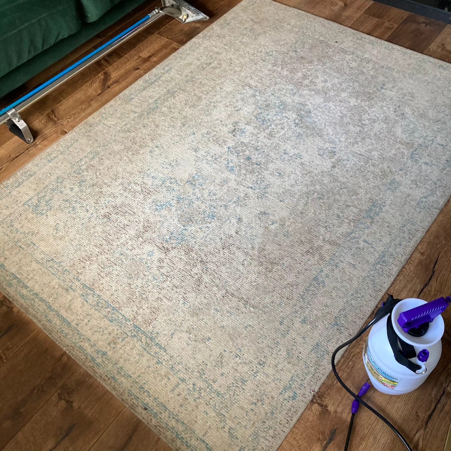 Rug before cleaning