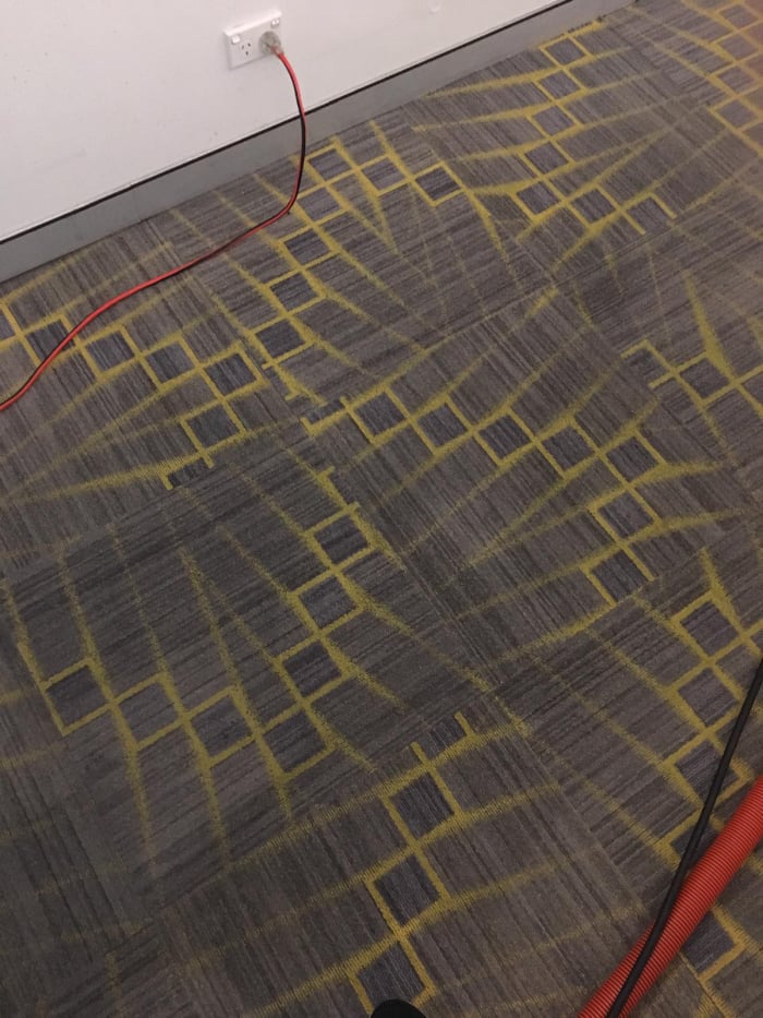 After Carpet Cleaning