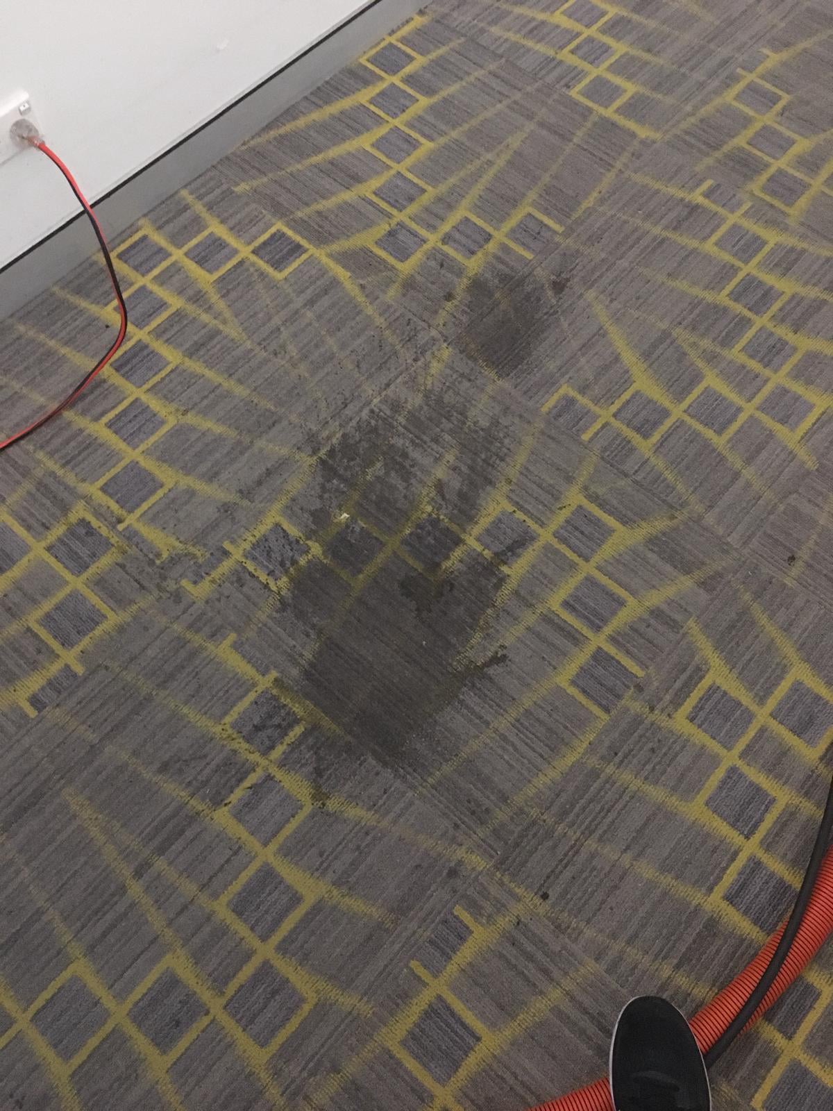 Before Carpet Cleaning 